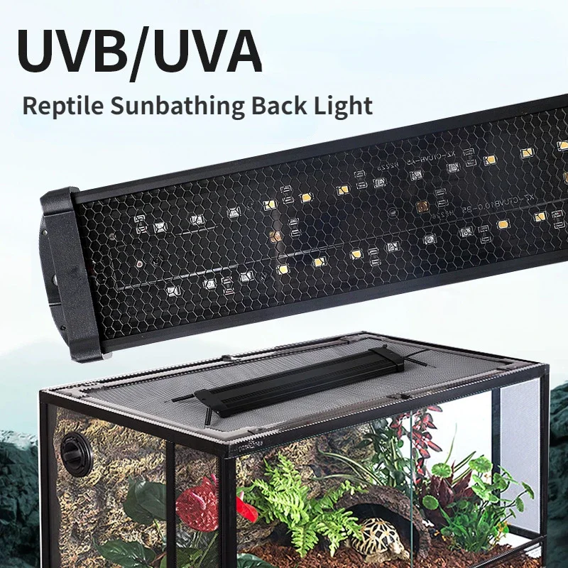 Calcium Powder Reptile - Reptil UVA+UVB Vollspektrum-LED-UV-Lampe 10,0/20,0 Schildkröte Eidechse