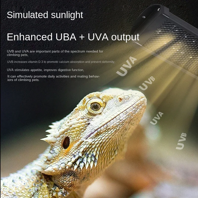 Reptil UVA+UVB Vollspektrum-LE – Calcium Powder Reptile Bewertung und Preis