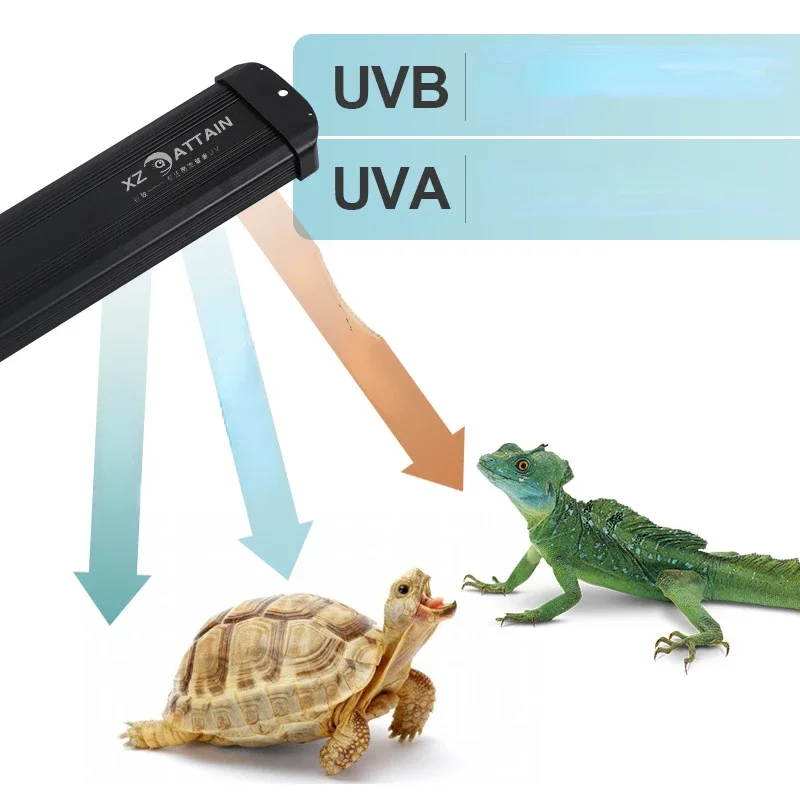 Reptil UVA+UVB Vollspektrum-LE – Calcium Powder Reptile Bewertung und Preis