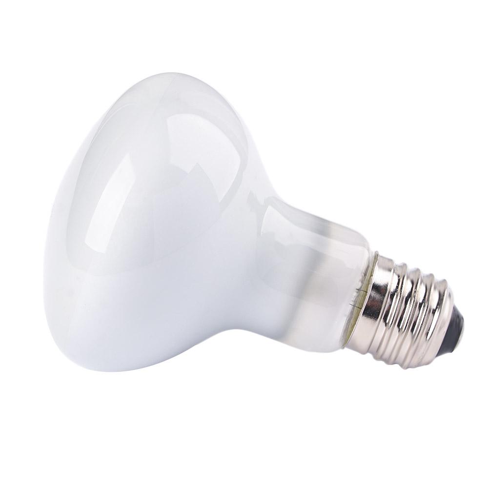 Amphibien-Wärmelampe UVA-Licht – Basking Bulb Halogen Bewertung und Preis