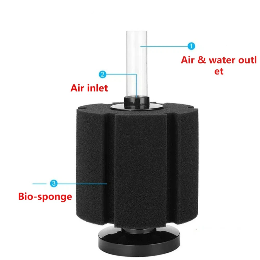 Aquarium-Filterschwamm für Fis – Aquael Filter Fzn Bewertung und Preis