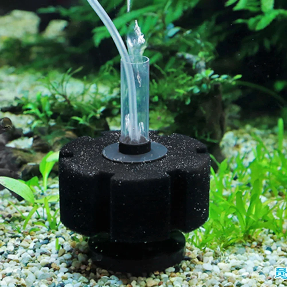 Aquarium-Filterschwamm für Fis – Aquael Filter Fzn Bewertung und Preis