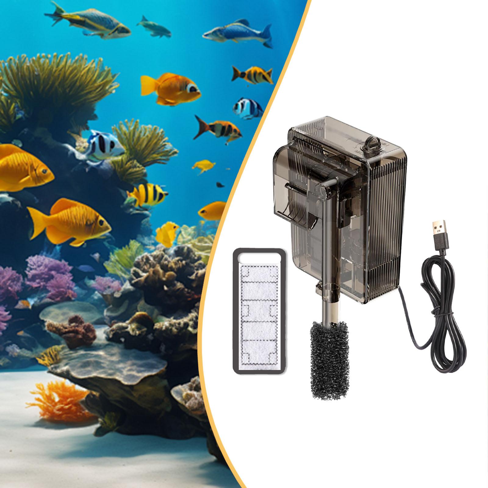 Kompakter Rückwand-Aquariumfil – Aquael Filter Fzn Bewertung und Preis