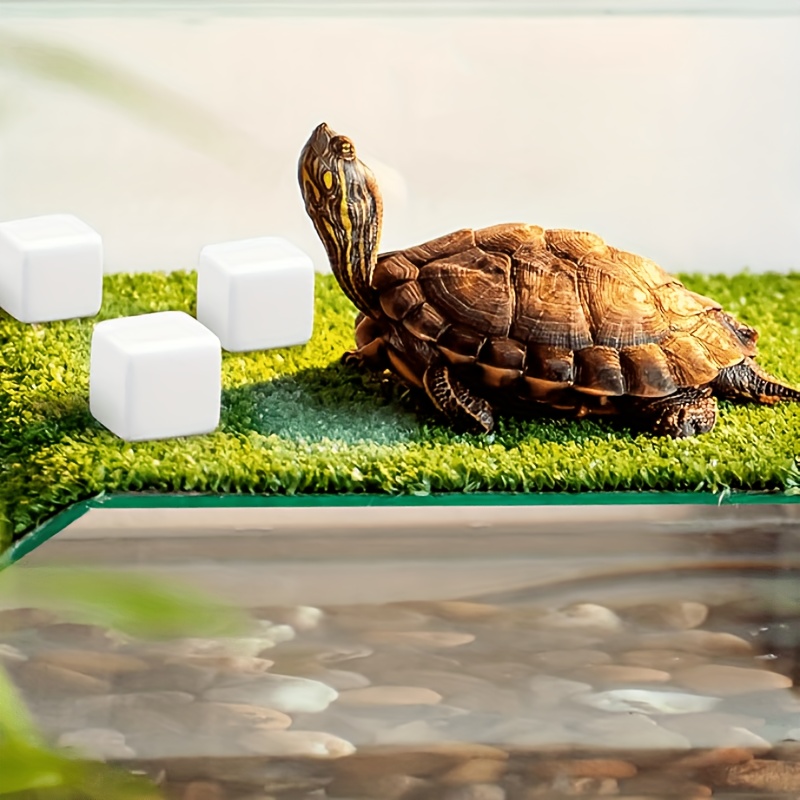 6-teiliger Aquarium-Kalziumblo – Calcium Powder Reptile Bewertung und Preis